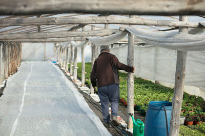 Rear view of man walking in greenhouse