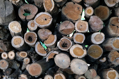 Full frame shot of logs in forest