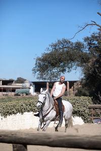 Man riding horse cart against trees