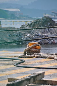 Close-up of crab on retaining wall by sea against sky