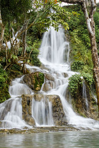Scenic view of waterfall in forest
