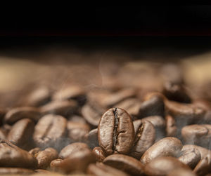 Close-up of coffee beans