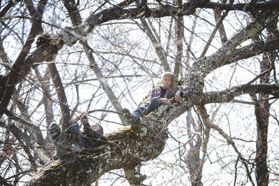 Low angle view of brothers siting on tree trunk