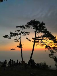 Silhouette trees against sky during sunset