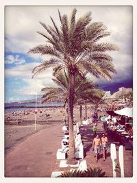 Silhouette of palm trees against cloudy sky