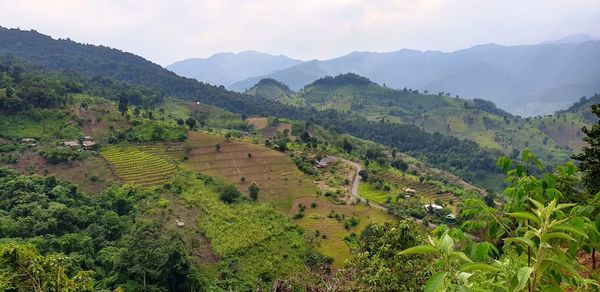 Scenic view of agricultural field and mountains against sky