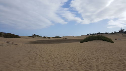 Sand dunes in desert against sky