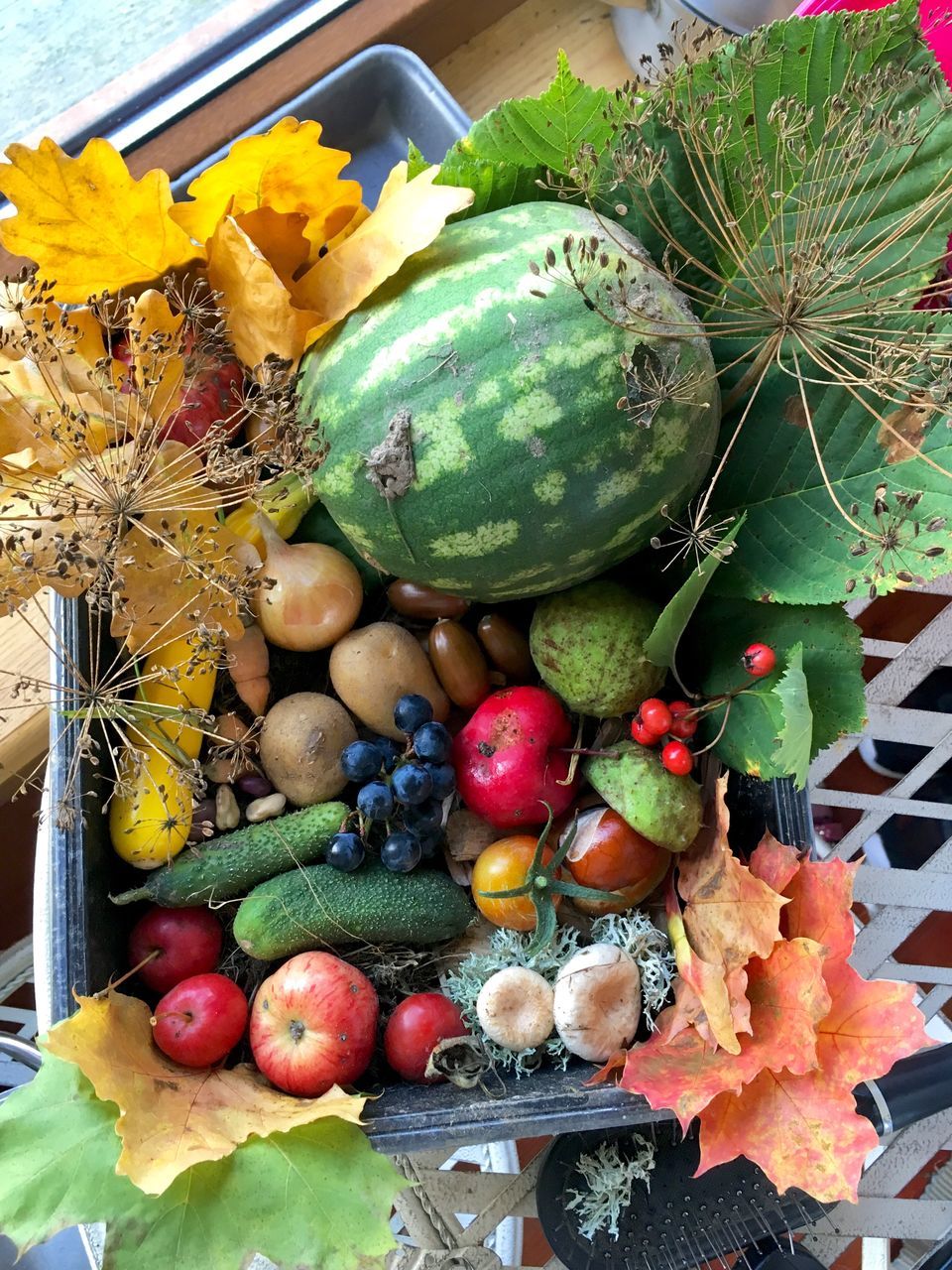 food and drink, food, fruit, healthy eating, wellbeing, no people, freshness, still life, high angle view, choice, variation, day, multi colored, leaf, plant part, nature, outdoors, close-up, large group of objects, ripe