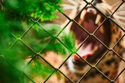 Full frame shot of chainlink fence against sky