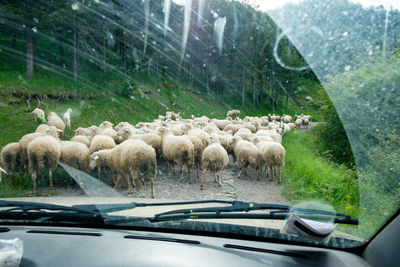 View of landscape with mountains in background