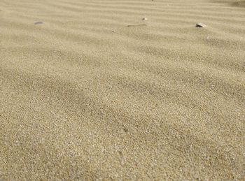 Full frame shot of sand dunes