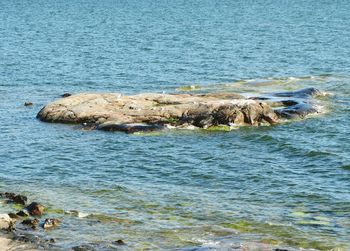 Scenic view of calm sea