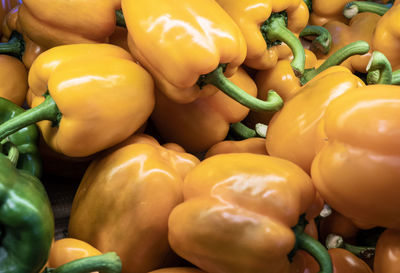 Close-up of vegetables for sale in market