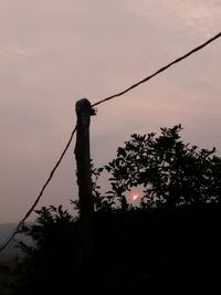 Low angle view of silhouette trees against sky at sunset