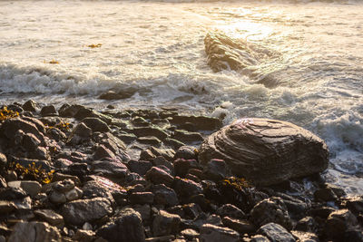Scenic view of sea shore
