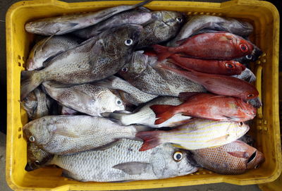High angle view of fresh fish in bucket at fish market
