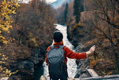 Rear view of man standing by tree in forest