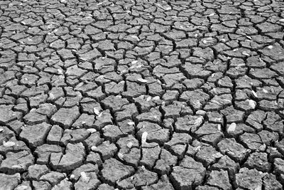 Full frame shot of cracked land