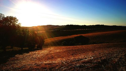 Scenic view of field against clear sky during sunset