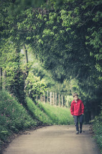 Full length of boy walking on footpath amidst trees