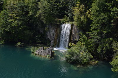 Scenic view of waterfall in forest