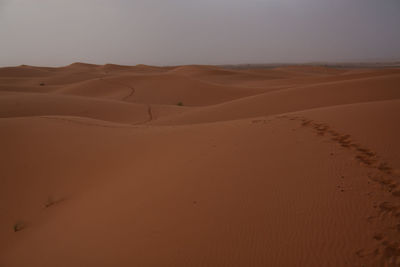 Scenic view of desert