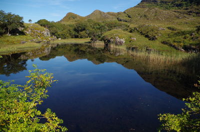 Scenic view of lake by trees against sky