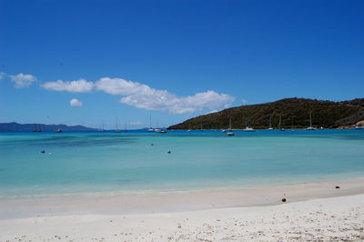 Scenic view of beach against blue sky