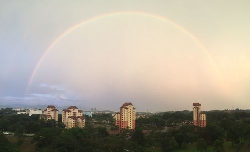 Rainbow over trees