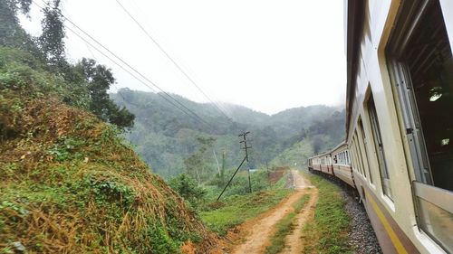 Railroad tracks by road amidst trees against sky