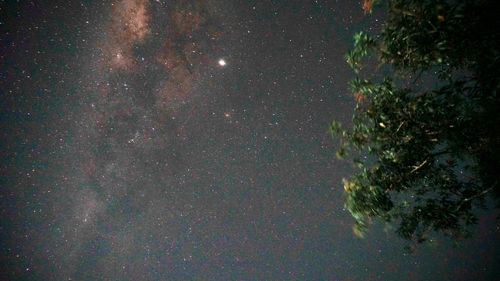 Star field against sky at night