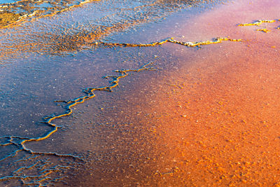 Close-up of bacteria mat at grand prismatic spring in yellowstone national park
