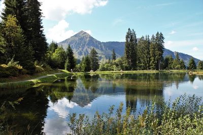 Scenic view of lake by trees against sky