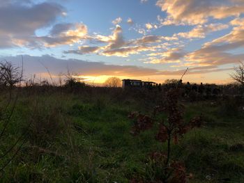 Scenic view of field against sky during sunset