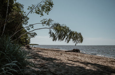 Scenic view of sea against clear sky