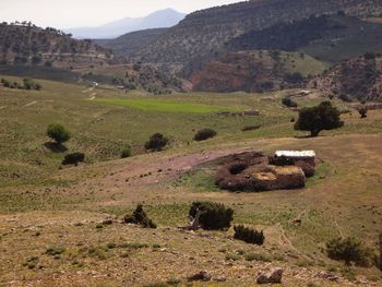 Scenic view of landscape