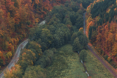 High angle view of road amidst trees during autumn