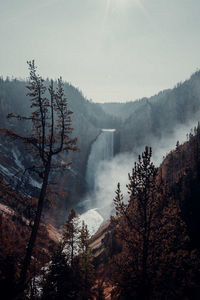 Scenic view of waterfall in forest against sky