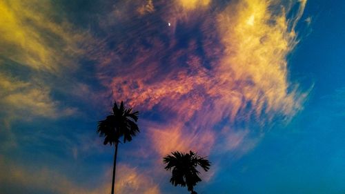 Low angle view of silhouette palm trees against sky