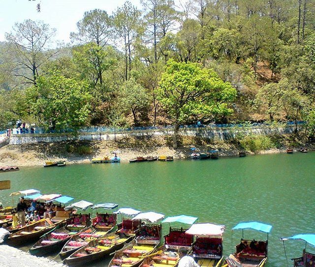 water, tree, nautical vessel, moored, boat, transportation, mode of transport, lake, tranquility, nature, day, tranquil scene, scenics, beauty in nature, outdoors, river, sky, incidental people, green color, high angle view