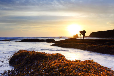 Silhouette man standing on rock at beach against sky during sunset