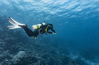 Scuba diver exploring the great barrier reef in australia