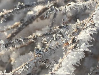 Close-up of frozen frost