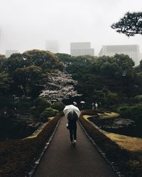 Rear view of man walking on street