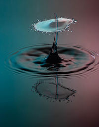 Close-up of water drop