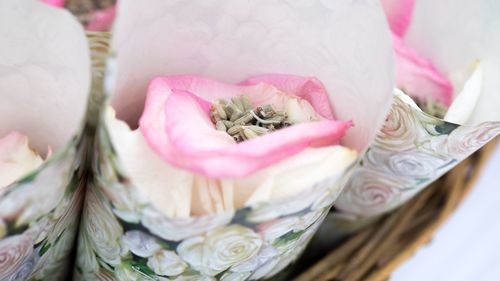 High angle view of pink roses in basket