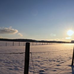 Wooden posts on snow covered land during sunset