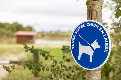 Close-up of road sign against trees