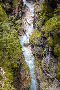 High angle view of river amidst trees in forest