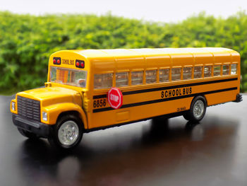 School bus on road against trees